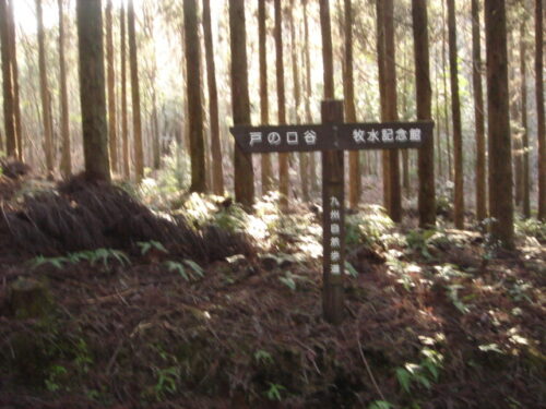 Dsc03308 道しるべ