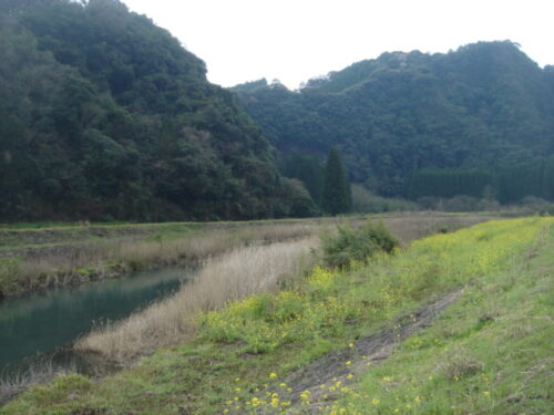 Dsc03340 三納川