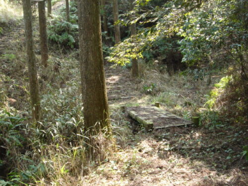 Dsc03355 山道