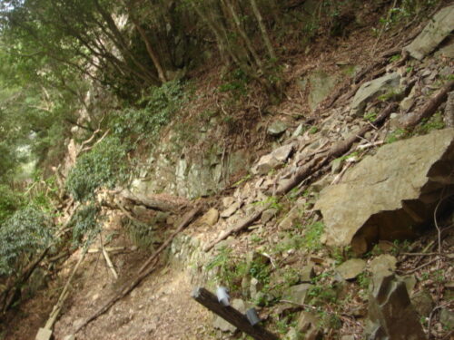 Dsc03382 綾の吊大橋付近