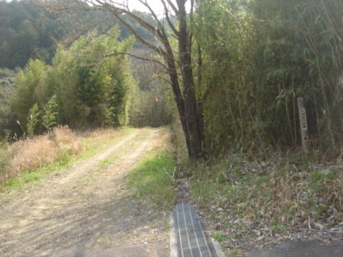 Dsc03407 林道