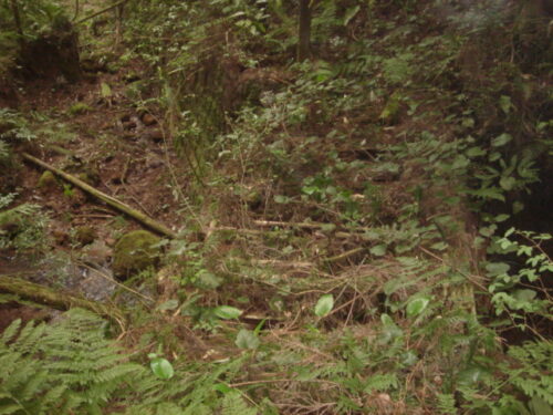 Dsc03430 橋が一部崩落