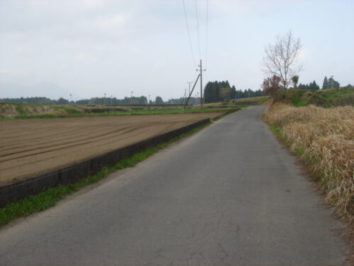 Dsc03437 田んぼ道