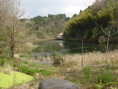 広原付近の池