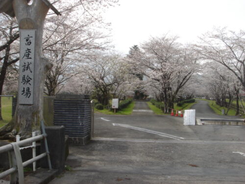 Dsc03453 高原町畜産試験場