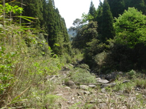 Dsc03602 牛根峠