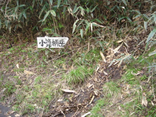 小箆柄岳へ