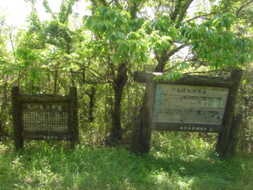 Dsc03724 案内板