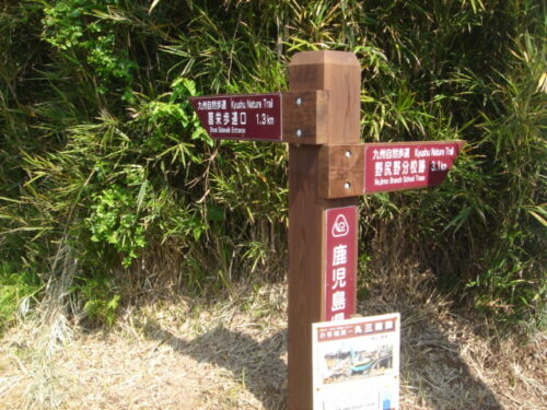 Dsc03793 昌栄歩道口へ