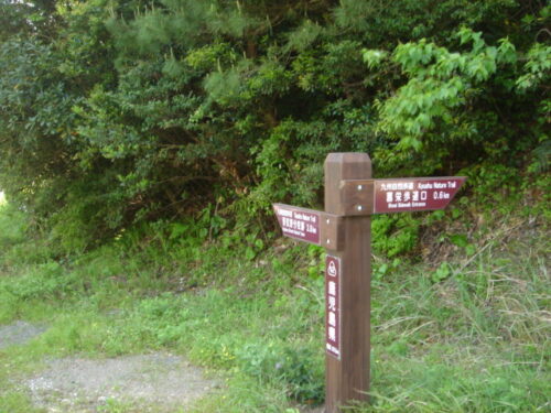 Dsc03794 昌栄歩道口へ