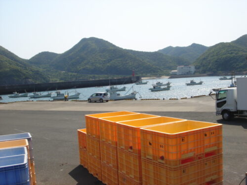Dsc03810 外之浦