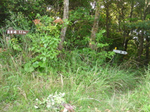Dsc03827 立目崎への道しるべ