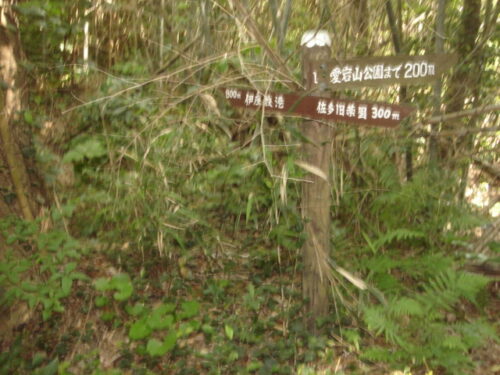 Dsc03833 道しるべ
