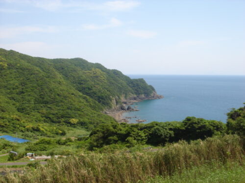 中ノ坊港