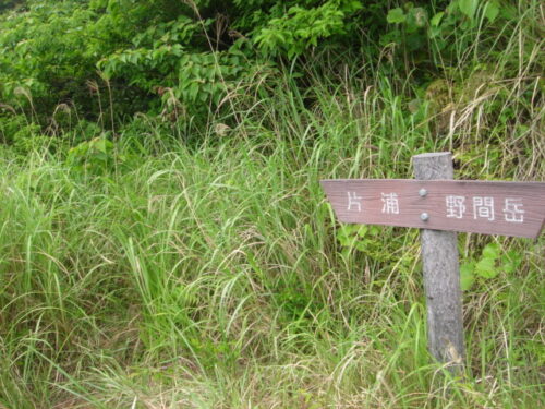 Dsc03967 道しるべ