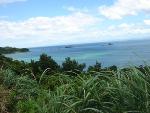 Dsc04075 笠沙町の小岳