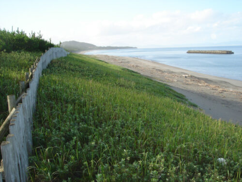 Dsc04043 砂浜を歩く