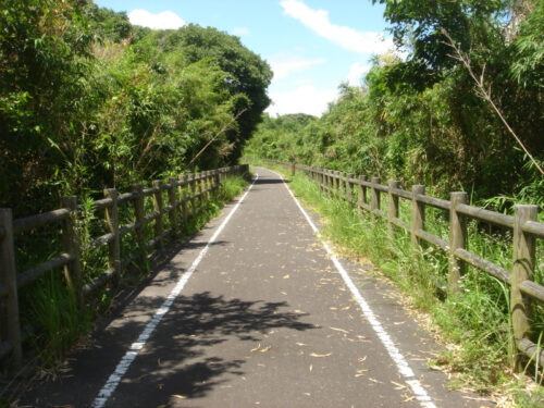 Dsc04056 自転車ロード
