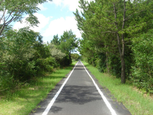 Dsc04071 自然歩道