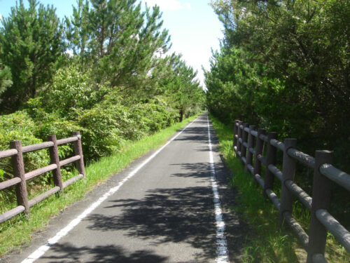 Dsc04062 自然歩道