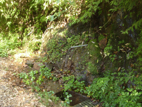 Dsc04088 阿母峠(275m)の湧水