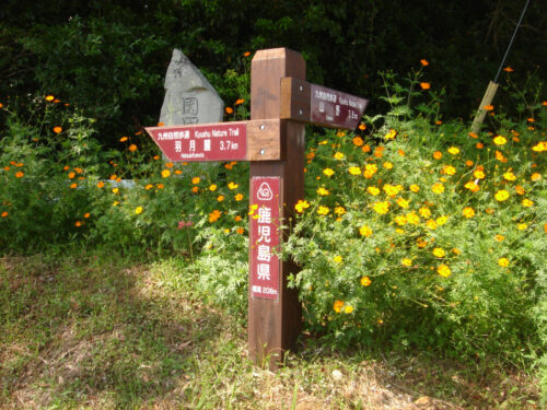 Dsc04203 道しるべ