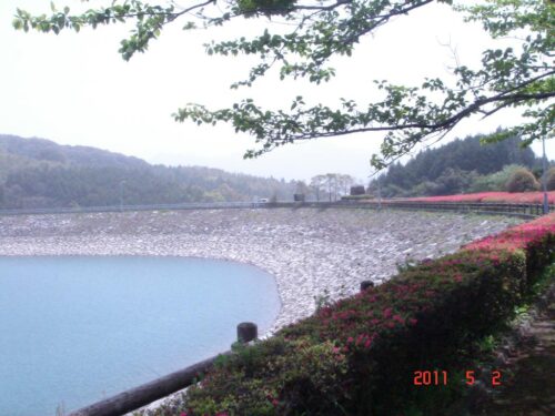水道水源地