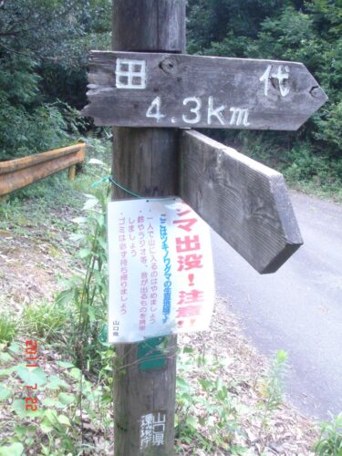 田代