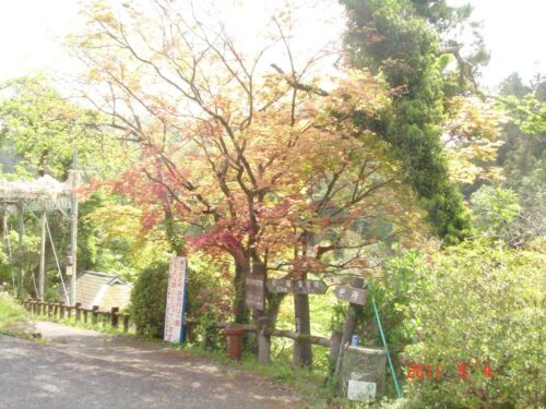 石柱渓への道しるべ