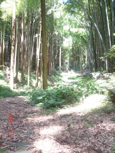 歴史の道萩往還