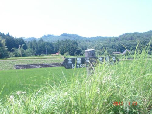 道しるべ