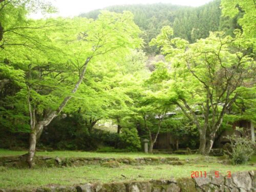 神上寺の参道