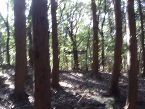 山中地蔵（脚気地蔵）