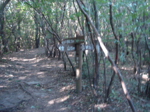 山道を歩く