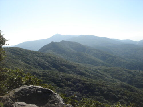 山頂から景色