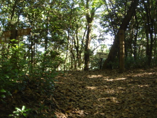 三領堺峠