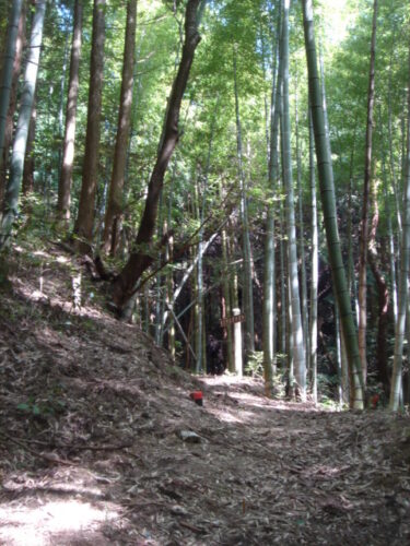 山道