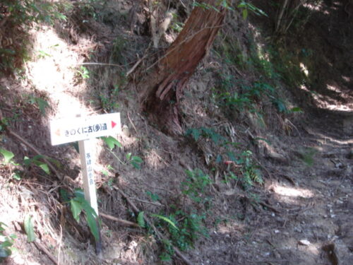 基山から下る