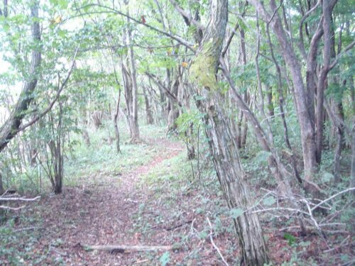 山道