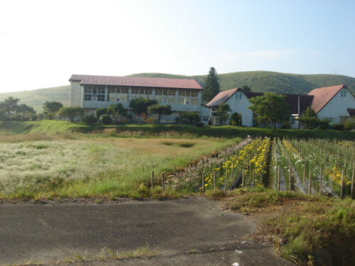 Dsc04206 田野小学校