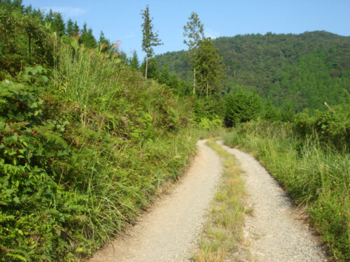 Dsc04209 鉾立山へ林道