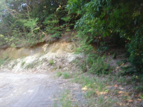 Dsc04217 林道と山歩道