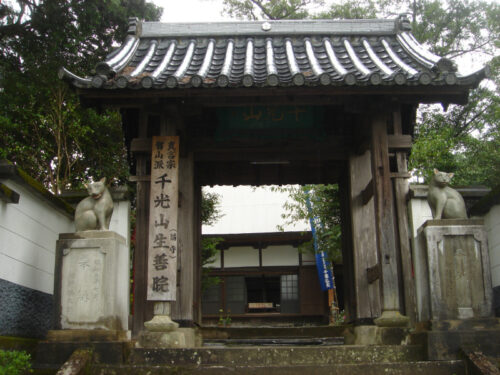猫寺