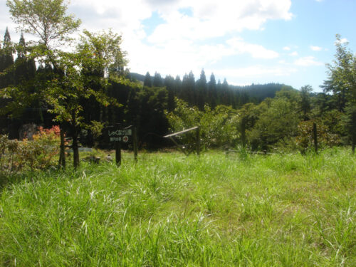 Dsc04285 小白水のしゃくなげ公園