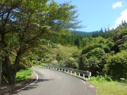 Dsc04286 舗装林道