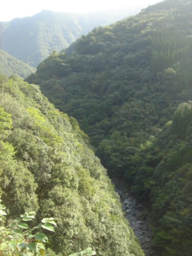 Dsc04350 五家荘探勝コース