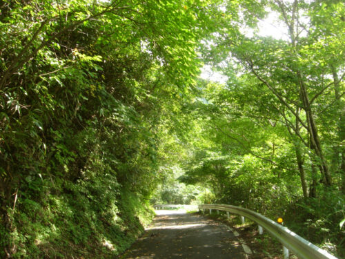 林道