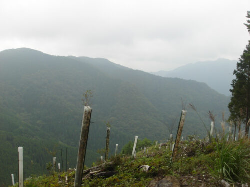 Dsc04372 尾根