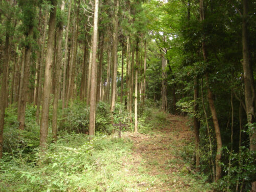 Dsc04455 山道