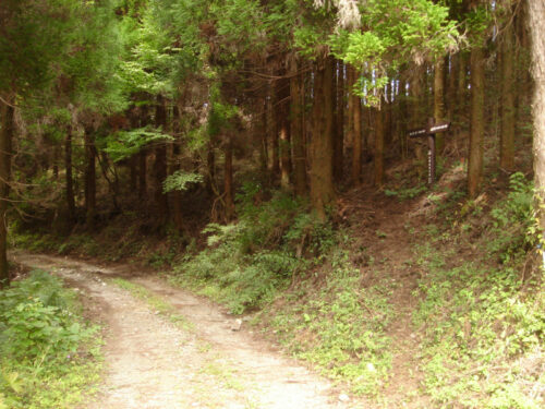 Dsc04456 山道